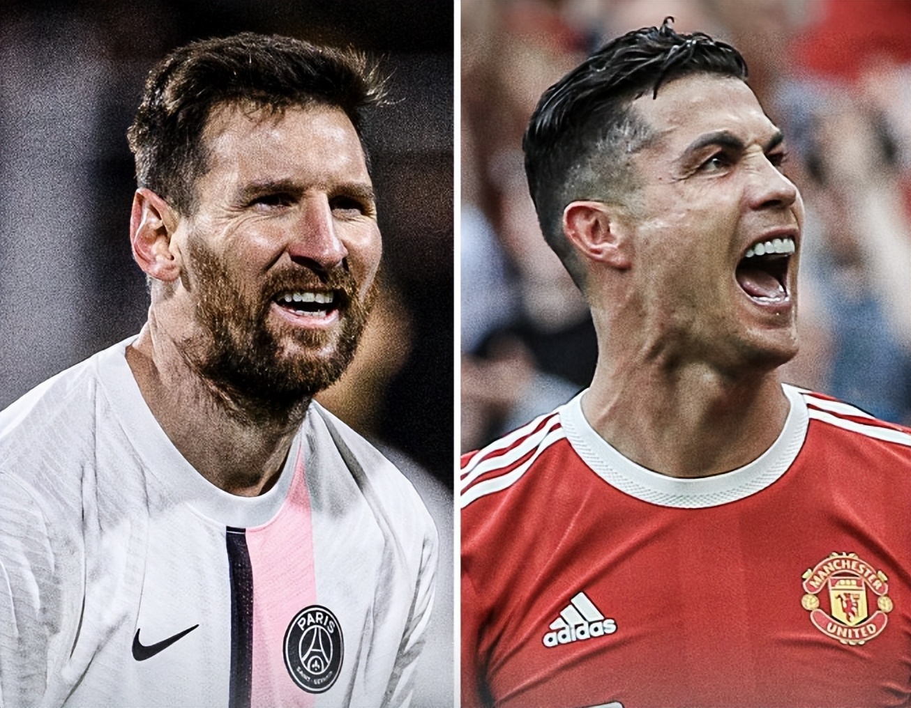 提供了丰富 提供了丰富